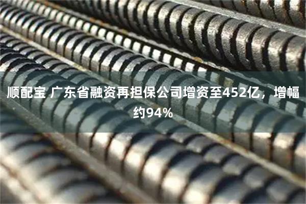 顺配宝 广东省融资再担保公司增资至452亿，增幅约94%