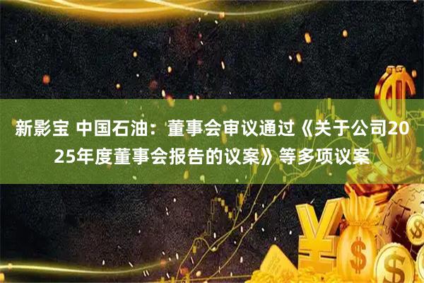 新影宝 中国石油：董事会审议通过《关于公司2025年度董事会报告的议案》等多项议案