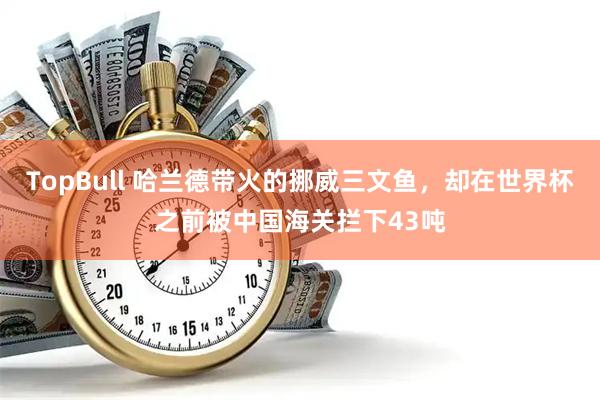 TopBull 哈兰德带火的挪威三文鱼，却在世界杯之前被中国海关拦下43吨
