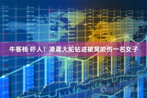 牛客栈 吓人！凌晨大蛇钻进被窝咬伤一名女子